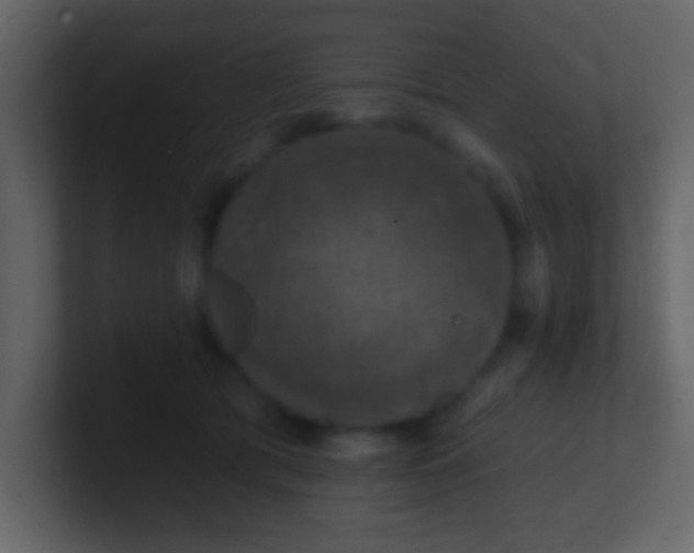 X0000100890417200807081045