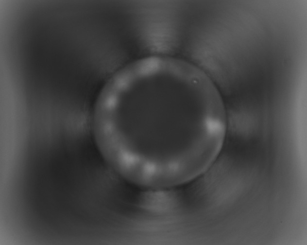 X0000100890419200807081045