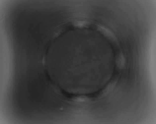 X0000100890420200807081045