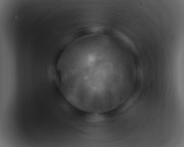 X0000100890421200807081045