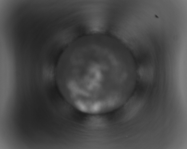 X0000100890423200807081045