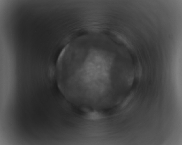 X0000100890425200807081045