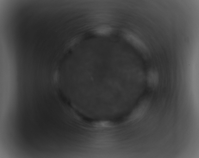 X0000100890428200807081045