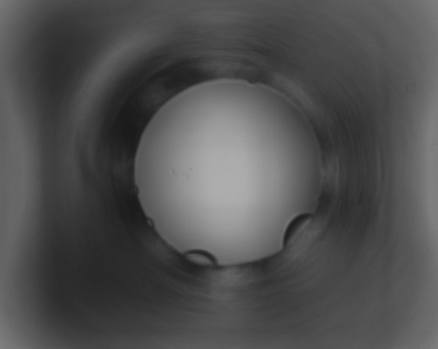 X0000100890430200807081045