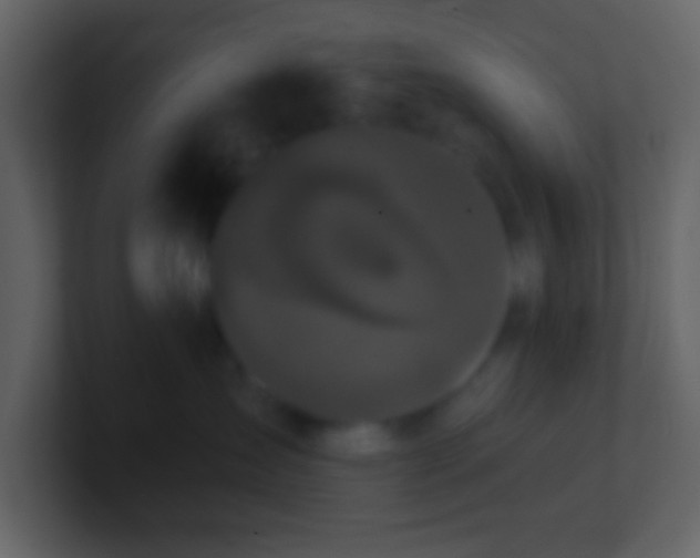 X0000100890431200807081045