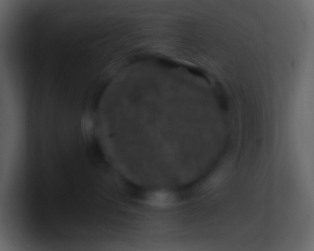 X0000100890432200807081045