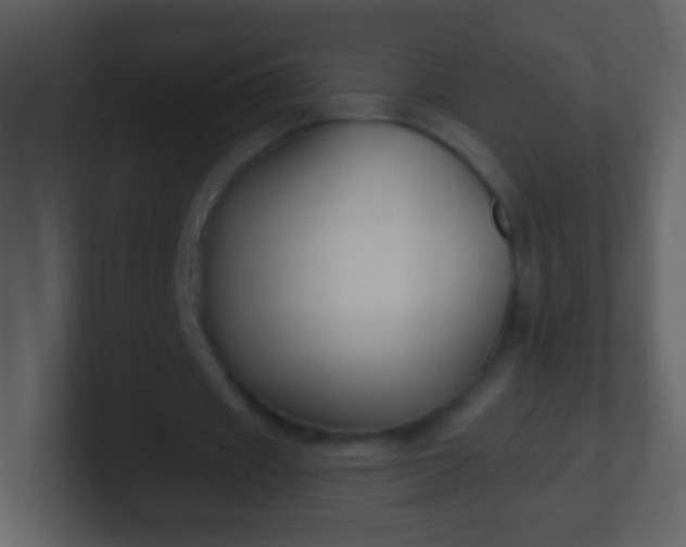 X0000100890433200807081044