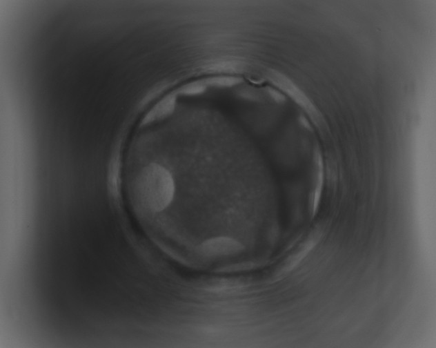 X0000100890434200807081044