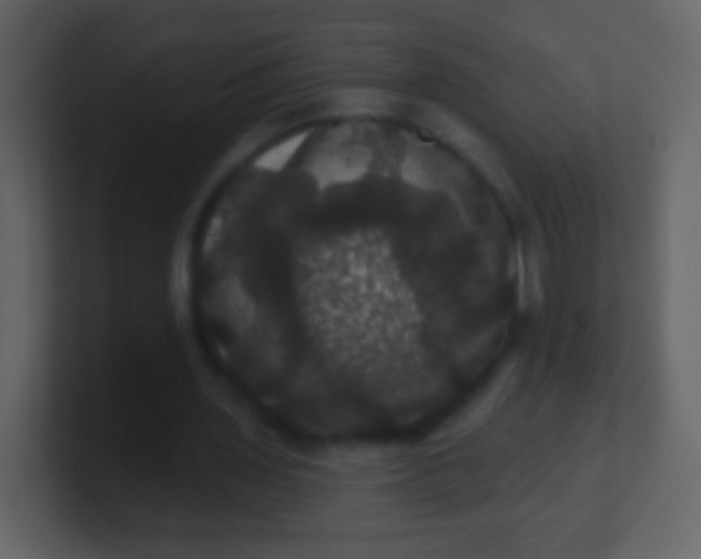 X0000100890435200807081044