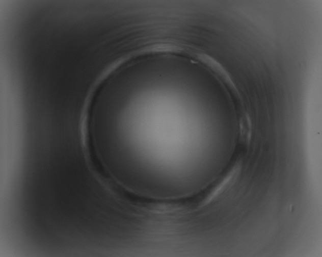 X0000100890436200807081044