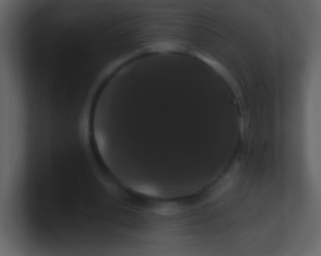 X0000100890438200807081044