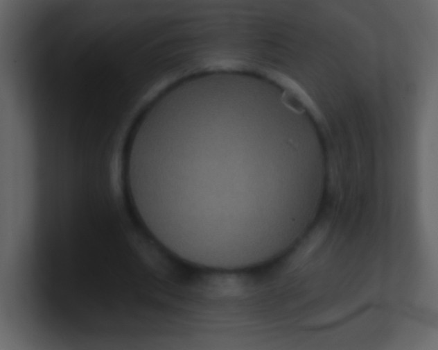 X0000100890439200807081044