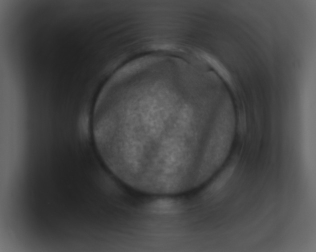 X0000100890441200807081044