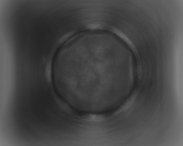 X0000100890442200807081044