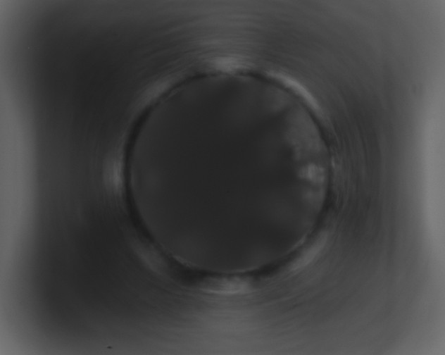 X0000100890443200807081044