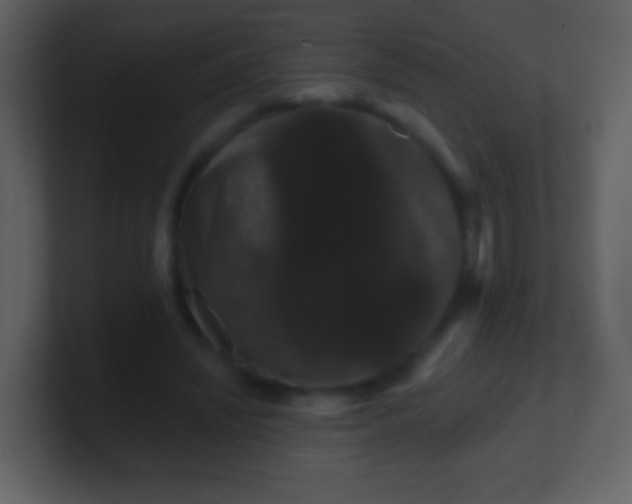 X0000100890444200807081044