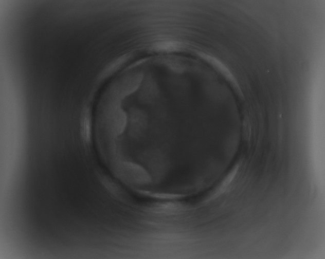 X0000100890446200807081044