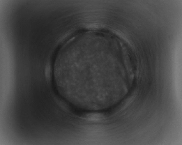 X0000100890448200807081044