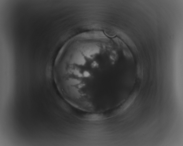 X0000100890449200807081044