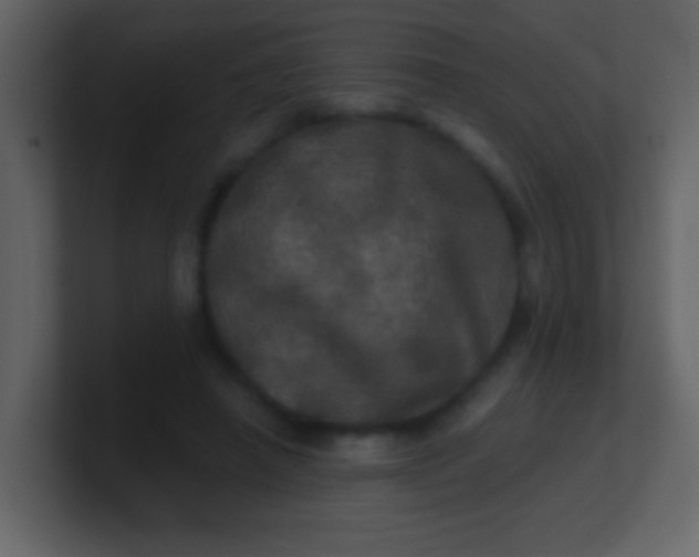 X0000100890450200807081044