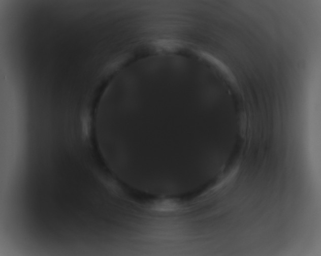 X0000100890451200807081044