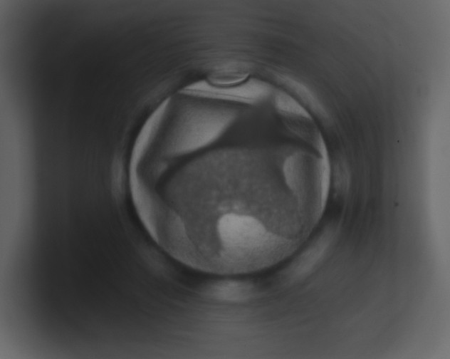 X0000100890453200807081044