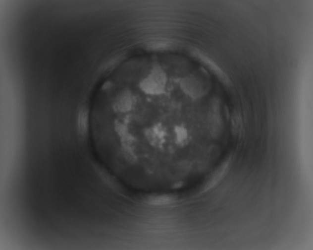 X0000100890454200807081044