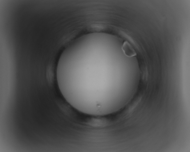 X0000100890455200807081044