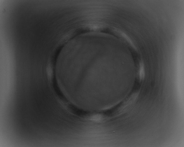 X0000100890456200807081044