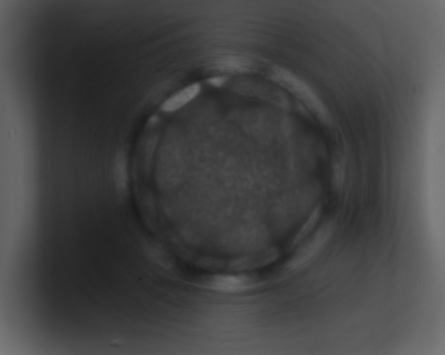 X0000100890457200807081044