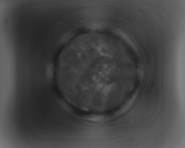 X0000100890458200807081044