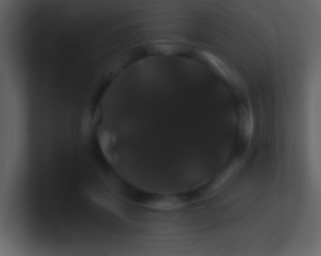 X0000100890459200807081044