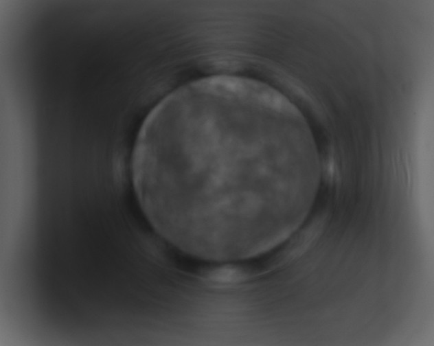 X0000100890460200807081044