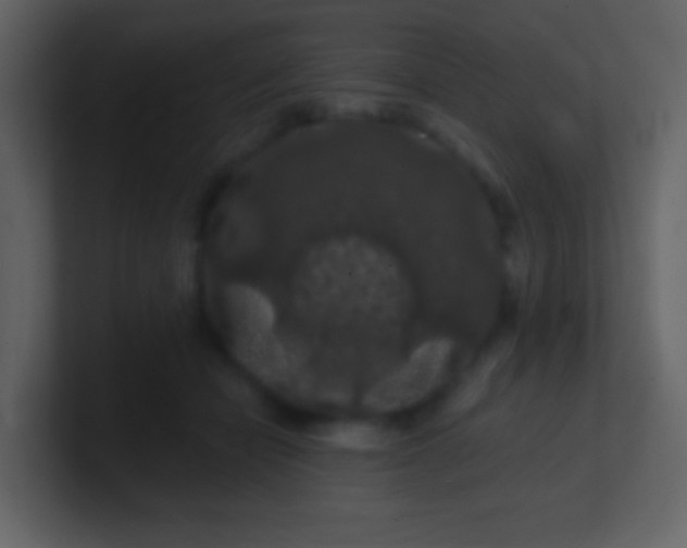 X0000100890462200807081045