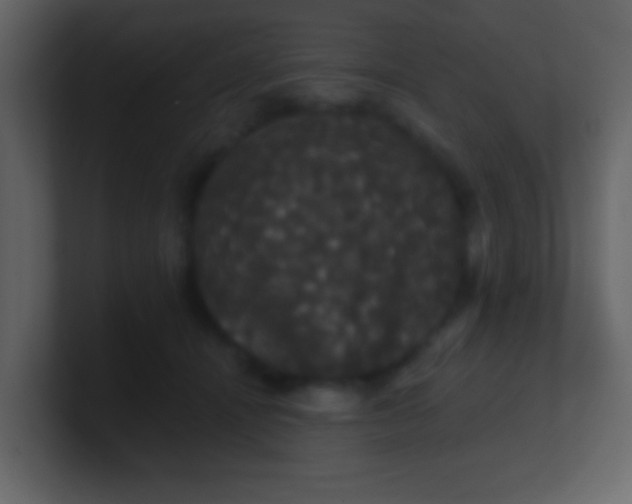 X0000100890464200807081045