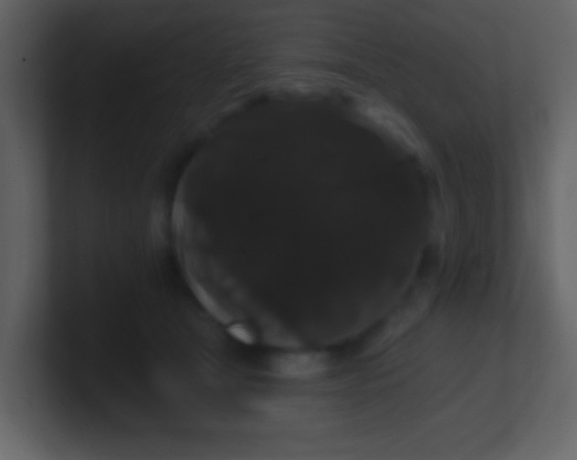 X0000100890465200807081045