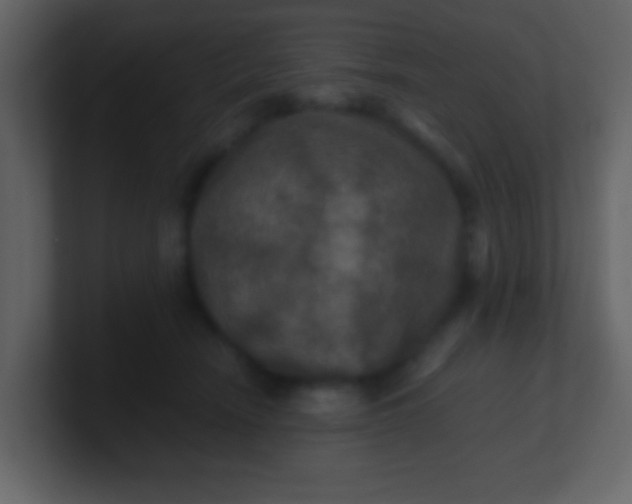 X0000100890466200807081045