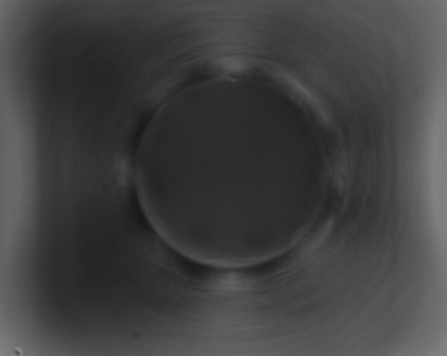 X0000100890467200807081045