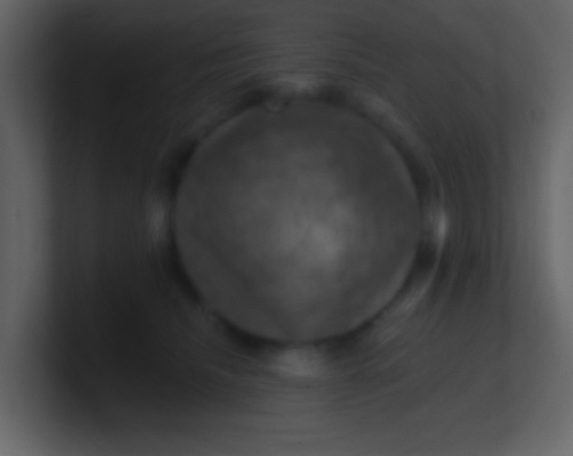 X0000100890468200807081045