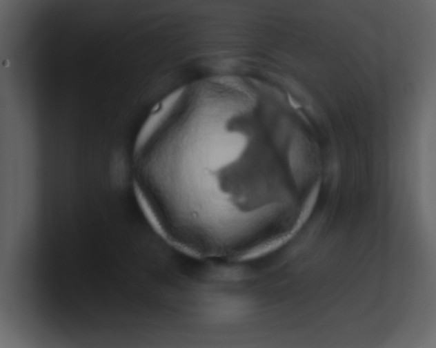 X0000100890469200807081045