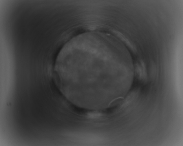 X0000100890470200807081045