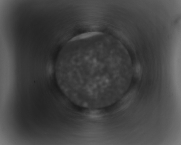 X0000100890472200807081045