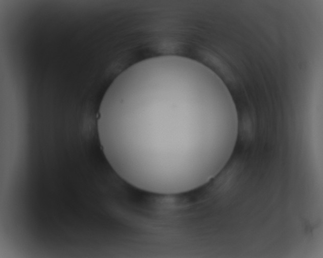 X0000100890473200807081045