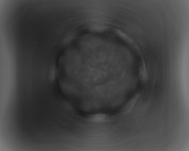 X0000100890474200807081045