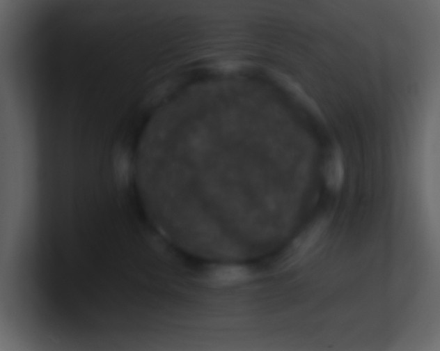 X0000100890476200807081045