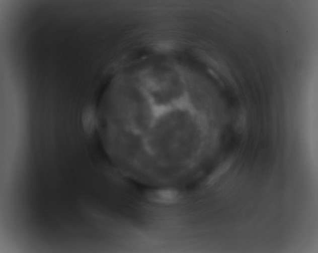 X0000100890478200807081045