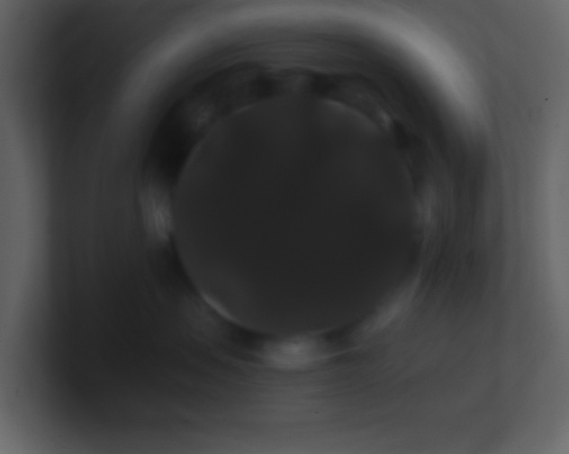 X0000100890479200807081045