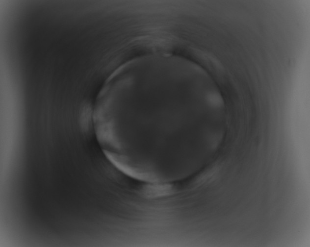 X0000100890480200807081045