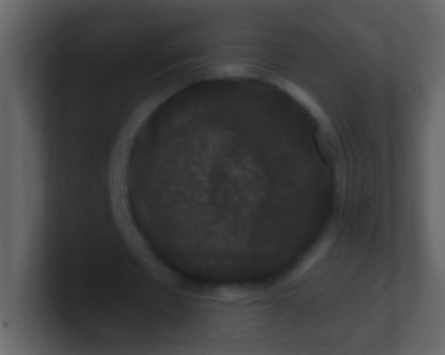 X0000100890481200807081044