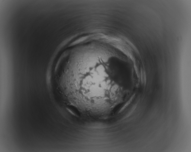 X0000100890483200807081044